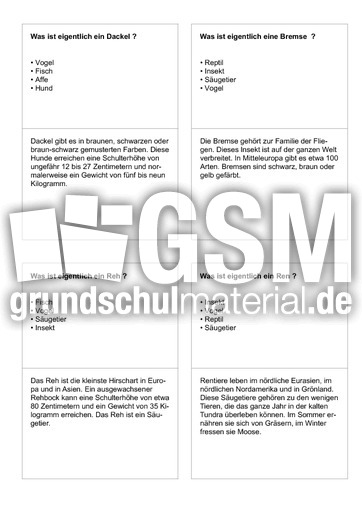 Tiernamen 15.pdf